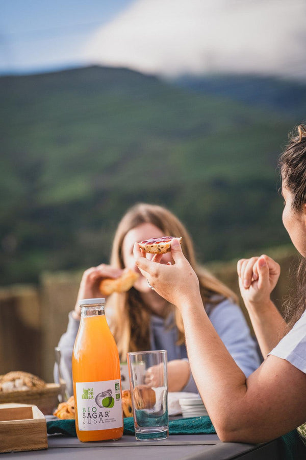 Jus de Pomme BIO KUPELA 1L - x3 - Edari Drinks